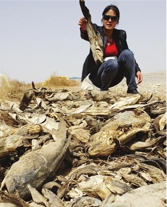 �����r��ïʢţ�������� ���¸����~������e���~