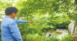 ���ˮˮԴ���M������Ⱦ��