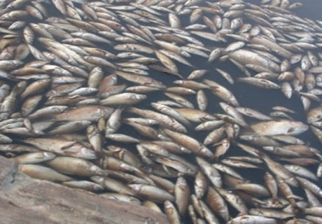 �ӱ���������~�¼�