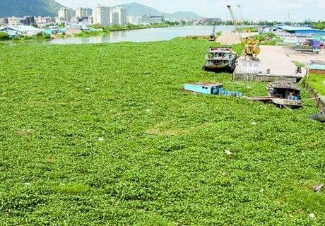 ˮ��ɏ��Ⱦ�¼�